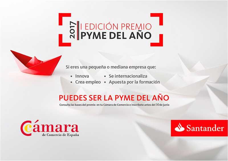 Premio Pyme del Año