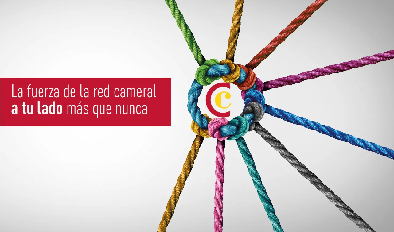 fuerza_de_la_red_web_mesa_de_trabajo_1.jpg