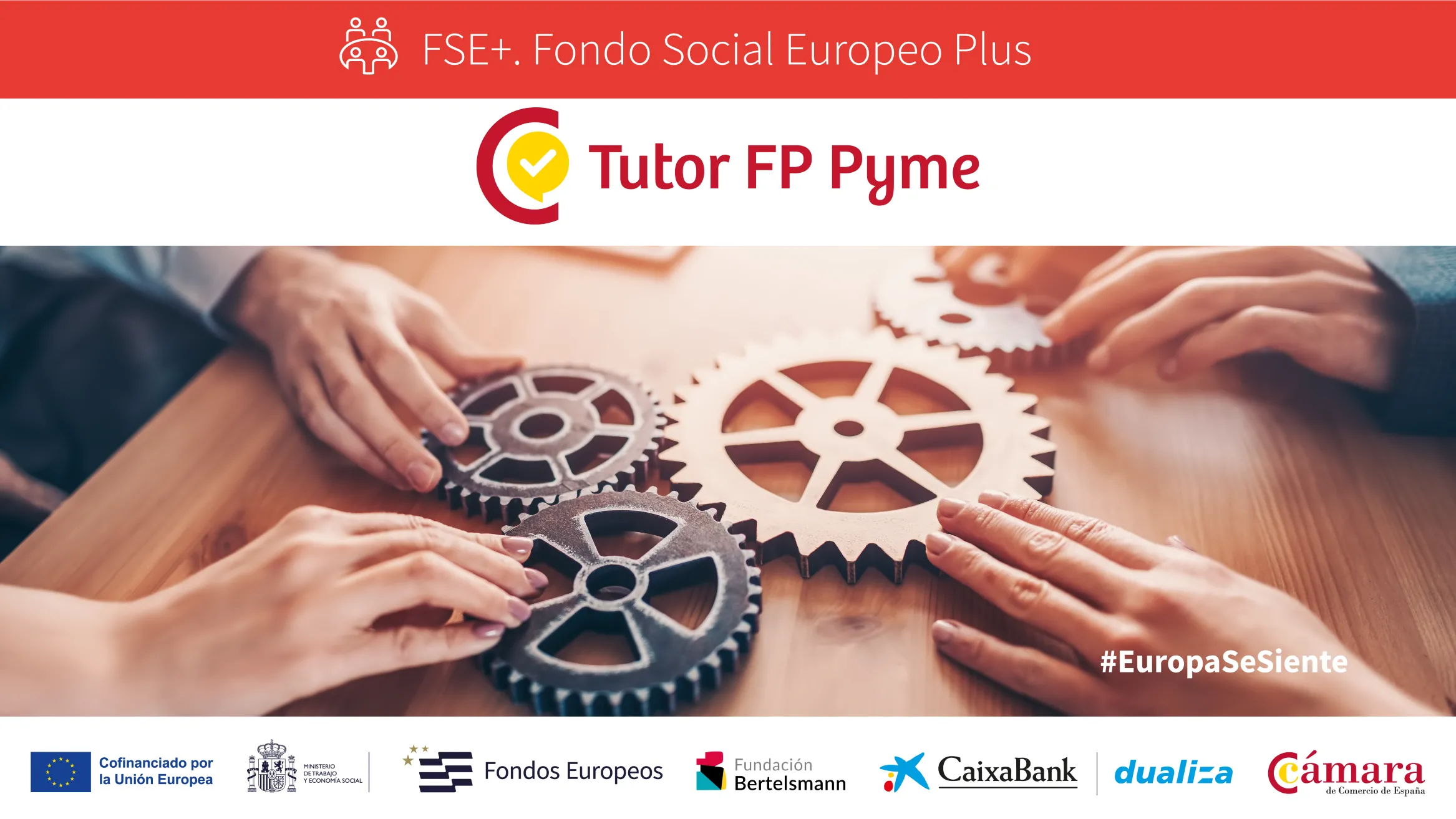 Tutor FP Pyme