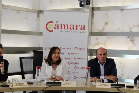 Comisión de Formación 