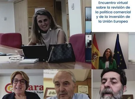 participantes_en_el_encuentro_virtual_sobre_la_revision_de_la_politica_comercial_y_de_inversion_de_la_union_europea-h.jpg